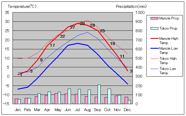 マンシー気温、一年を通した月別気温グラフ