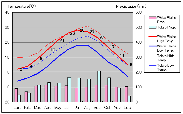 ホワイト・プレインズ気温、一年を通した月別気温グラフ