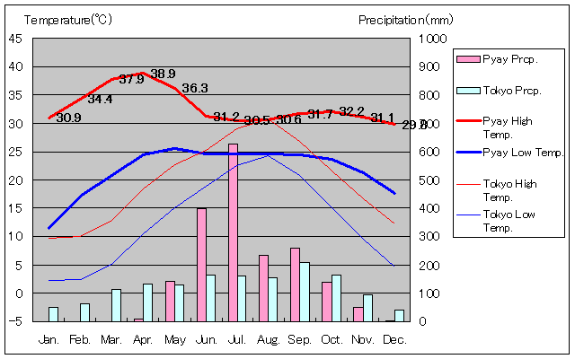 ピイ気温、一年を通した月別気温グラフ