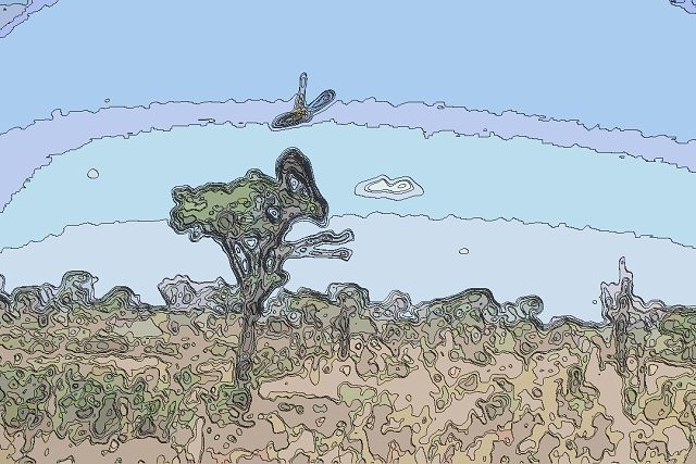 セラード保護地域：ヴェアデイロス平原国立公園とエマス国立公園