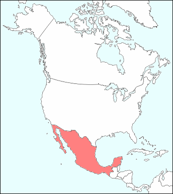 北アメリカ大陸におけるメキシコ地図