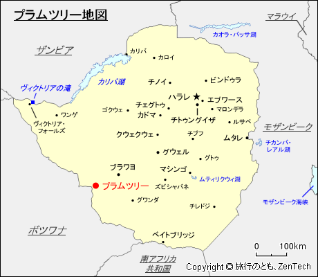 プラムツリー地図