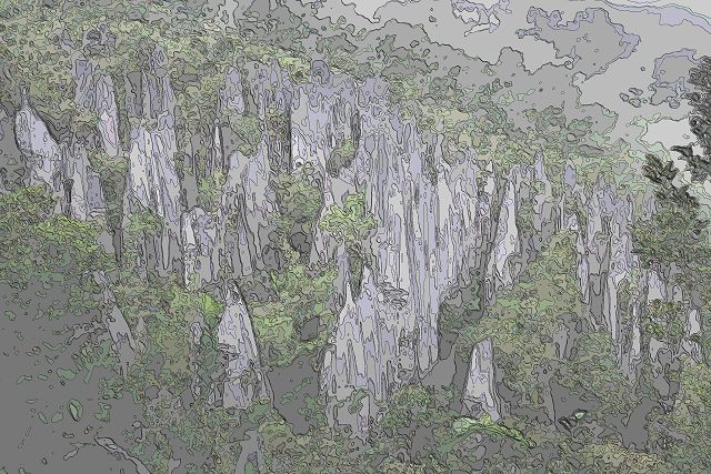 グヌン・ムル国立公園