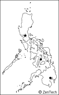 海岸線のみフィリピン白地図（小サイズ）
