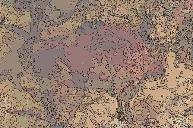 アルタミラ洞窟とスペイン北部の旧石器洞窟美術